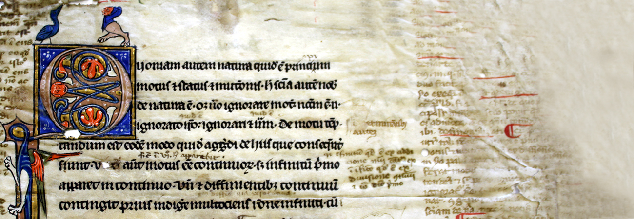 Sezione archivistica diplomatica, raccolta A.